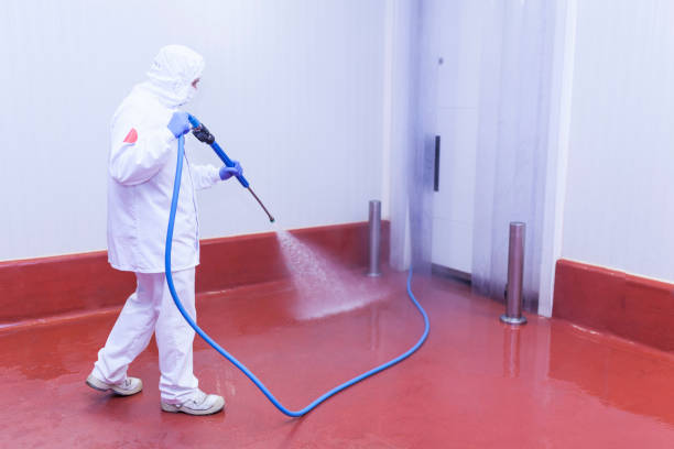 Best Heavy Equipment Washing  in Ridge Wood Heights, FL