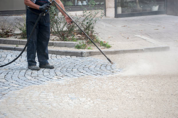 Best Spring Cleaning  in Ridge Wood Heights, FL
