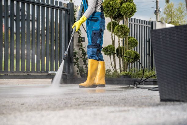Best Solar Panel Cleaning  in Ridge Wood Heights, FL