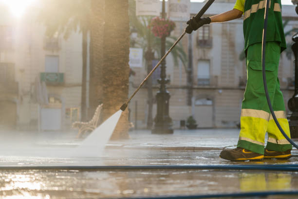 Best Dumpster Area Cleaning  in Ridge Wood Heights, FL